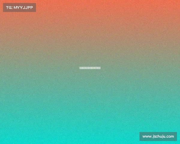 澳门大奖赛事故—澳门选手夺冠